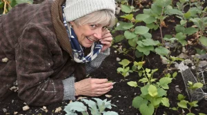 Elle passe l’hiver dehors et finit dans vos assiettes : cette plante méconnue qu’on devrait tous semer
