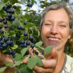 Le fruitier le plus simple du jardin : même sans main verte, il offre de belles récoltes