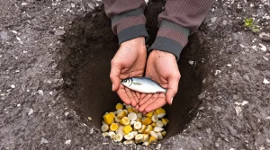 Tomates au potager : l’ingrédient naturel à enterrer au pied pour une récolte vraiment spectaculaire