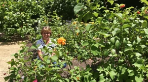 Le fruitier le plus facile du jardin : même sans main verte, il offre de belles récoltes