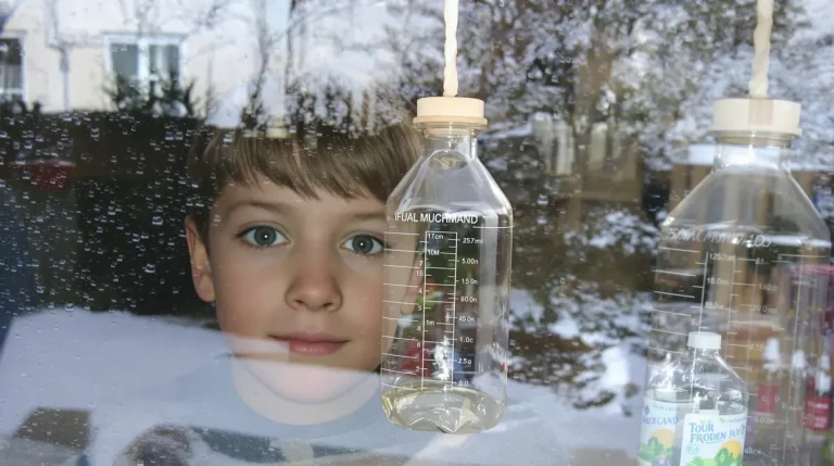 Voici comment une bouteille plastique devient une mangeoire parfaite pour les oiseaux